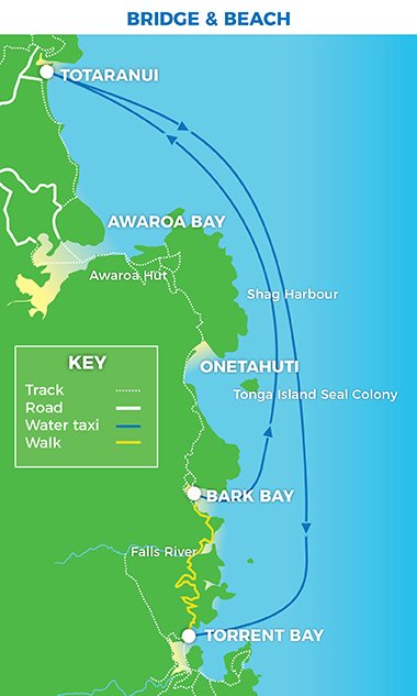 Bridge & Beach | Abel Tasman Aqua Taxi Cruise & Walk